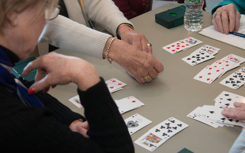 Image of a bridge-game being played